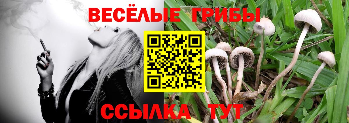 Костомукша  наркотики  Псилоцибиновые грибы Psilocybine cubensis  Вход с VPN  Галлюциногенные грибы GOLDEN TEACHER 